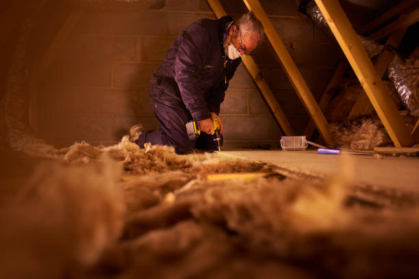 Eco-Friendly or Green Insulation Solutions in Allendale, CA